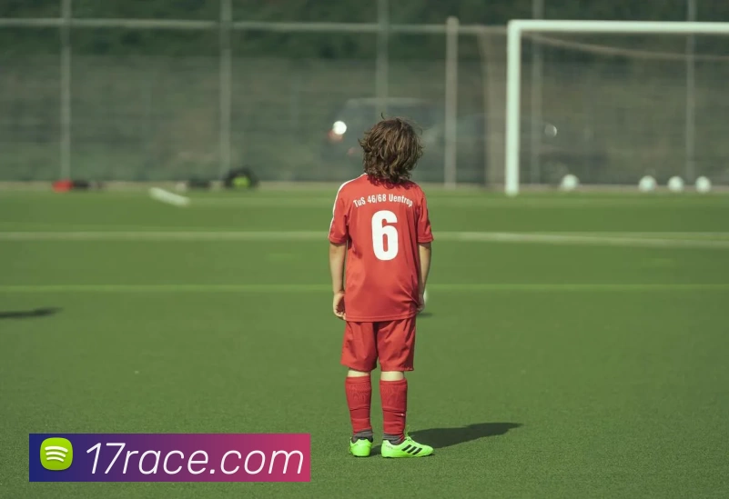 17娱乐城官网平台生态图